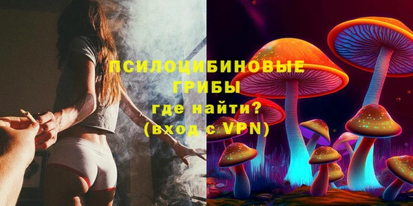 МДПВ Аркадак