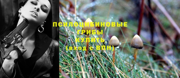МДПВ Аркадак