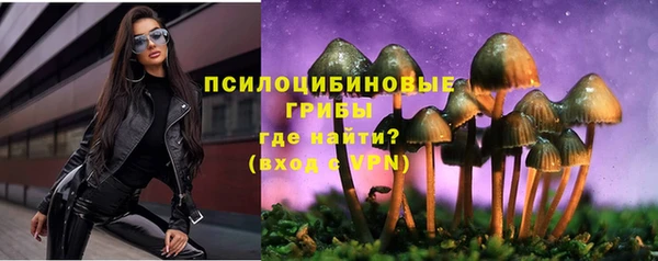 ГАЛЛЮЦИНОГЕННЫЕ ГРИБЫ Армянск